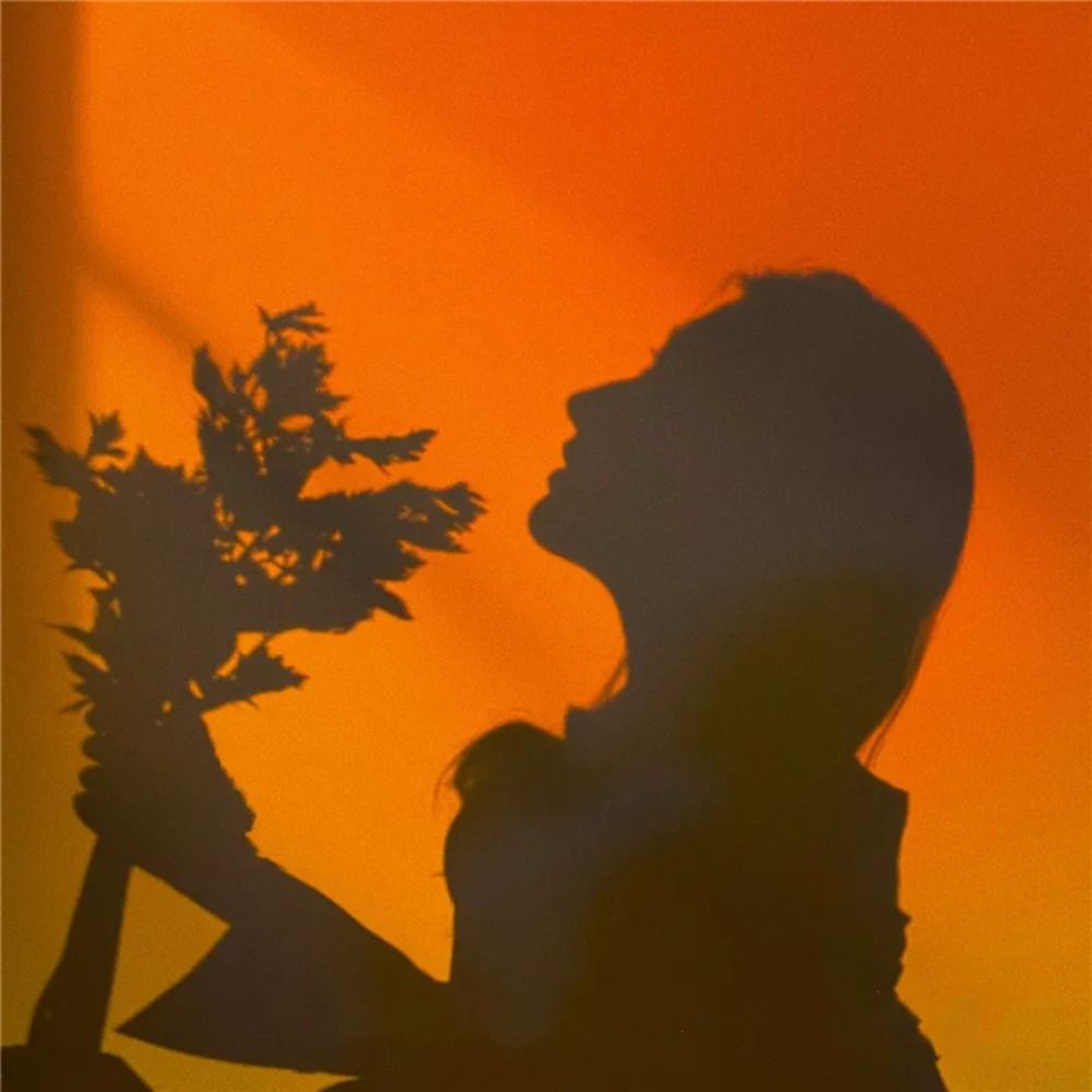 Iluminación del estado de ánim - Photography Lighting Mood reseña y precio